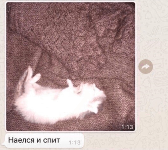 фигура шатается, в глазах — звёздочки. Над головой — иконка перечёркнутой шестерни (нет действий).